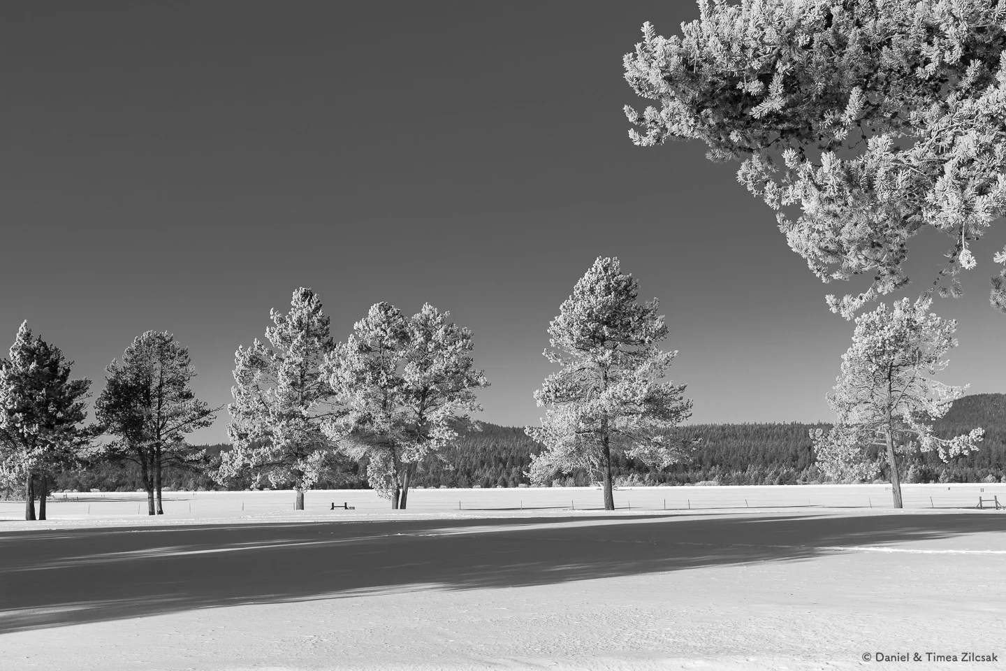 Winter Landscapes - The Zilcsaks